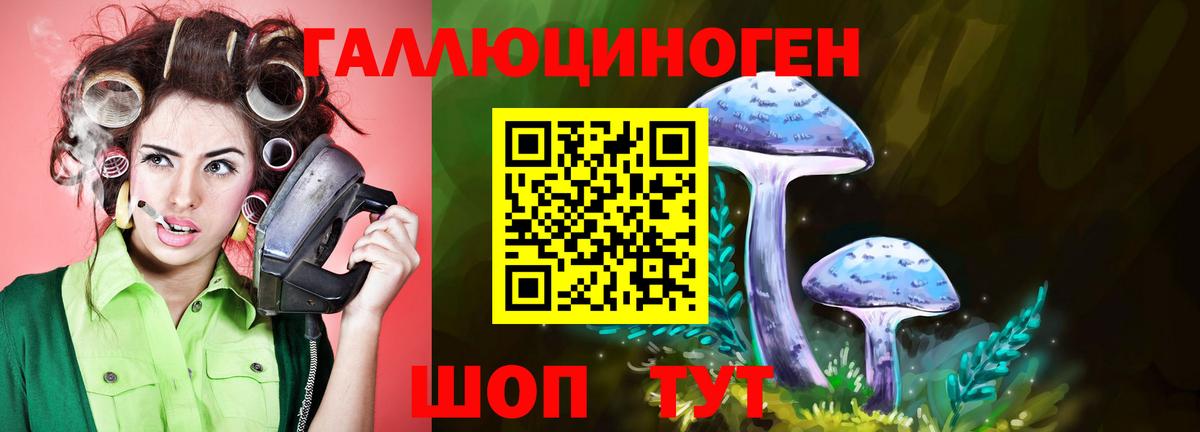 Галлюциногенные грибы ЛСД Славгород